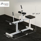 Adjustable Seated Calf Raise Machine