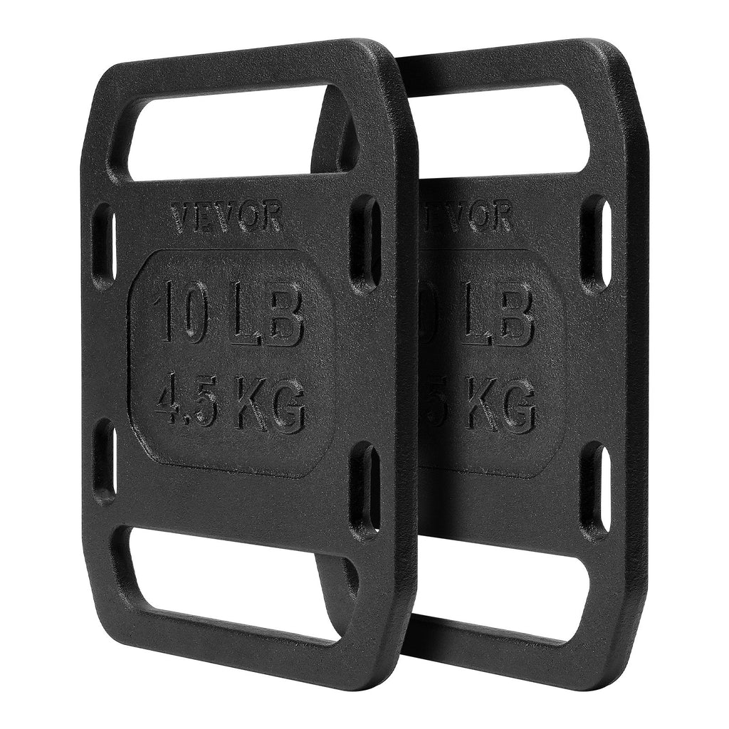 10LB Cast Iron Ruck Weight Pair